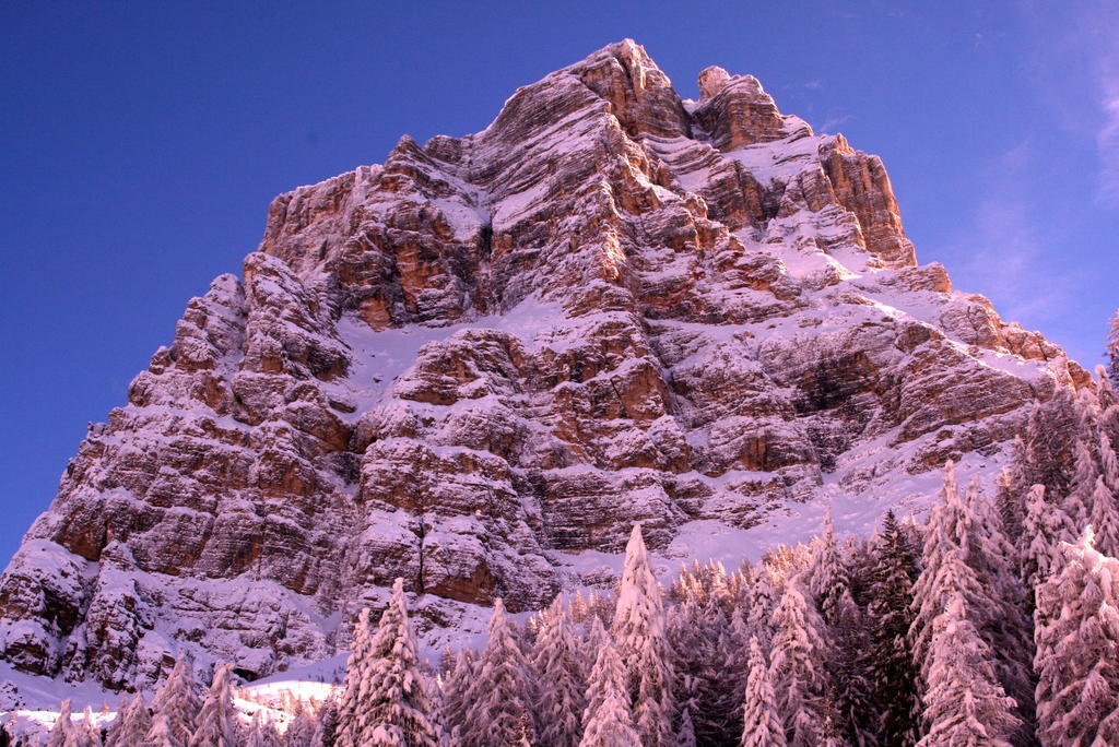 Готель Rifugio Passo Staulanza Zoldo Alto Екстер'єр фото