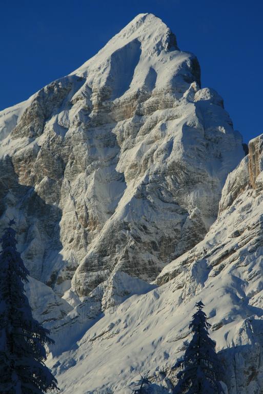 Готель Rifugio Passo Staulanza Zoldo Alto Екстер'єр фото